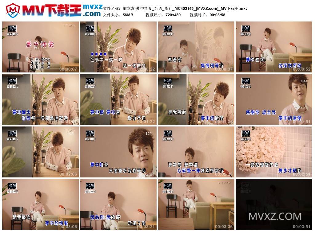 翁立友-梦中情爱_台语_流行_MC403145